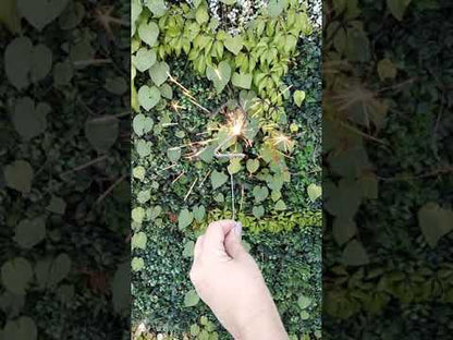 Luz Mágica! Plateada # 0 al 9